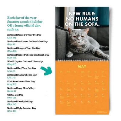 Calendrier 2024, cadeaux de vacances drôles et impertinents pour les  amoureux des chats, blague cadeau de Noël