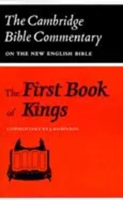J. Robinson | The First Book of Kings | Taschenbuch | Englisch