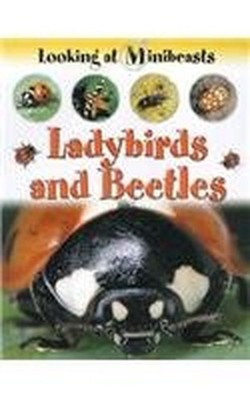 MINIBEASTS LADYBIRDS & BEETLES (Looking at Minibeast by Morgan, Sally 1841381667