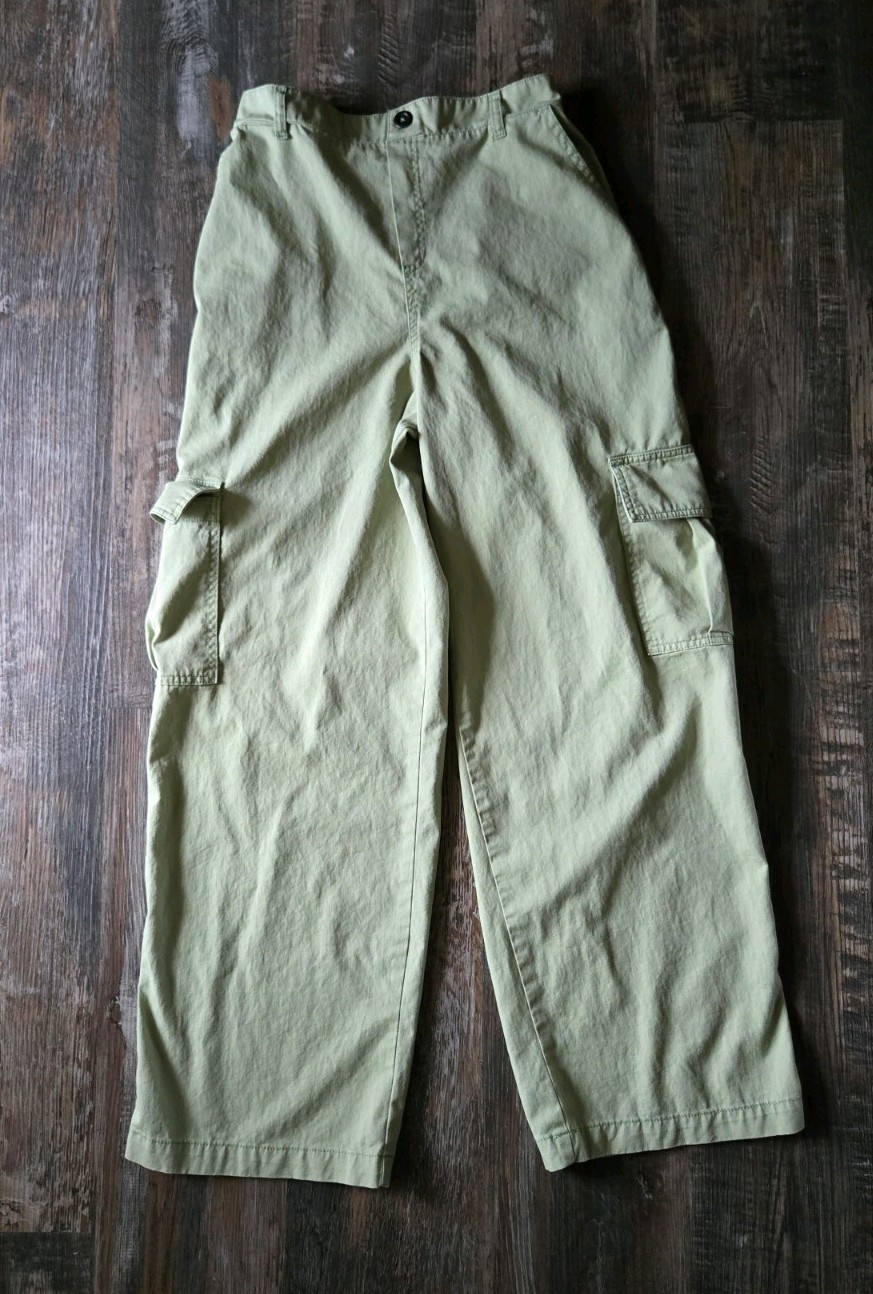 Womens Sage Green Wide Leg Baggy Cargo Pants Y2K Size Small Wild Fable
