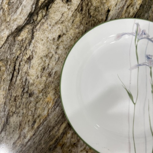 Juego de 5 platos de postre para ensalada Corelle Vitrelle patrón de iris sombra 7 1/4” 🇺🇸 - Imagen 17 de 24