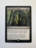 Awaken the Erstwhile - MTG Ravnica Allegiance - NM