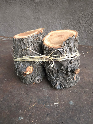 2 APRICOT WOOD LOGS 3''D 5''H STRAIGHT PILLAR CHUNK Carving Crafts Art Live Edge