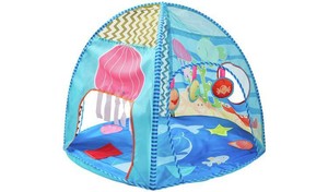 chad valley sensory play gym