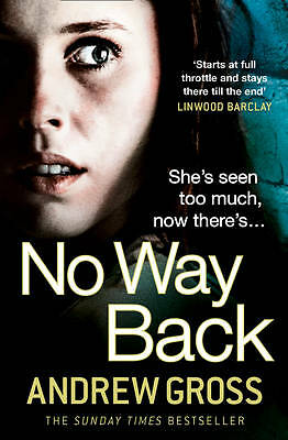 No Way Back by Andrew Gross (Paperback, 2013)