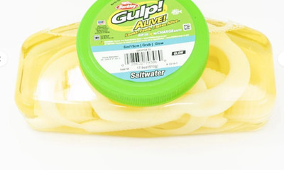 Berkley Gulp Alive Saltwater Grub 6'' Pint Tub Pearl White GASPG6-PW