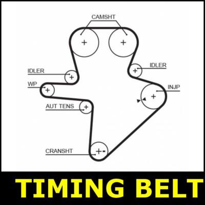 Timing Belt Cam Fits Ldv MAXUS V80 2.5 SX6855