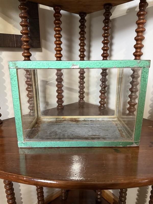 Vintage Terrarium/Aquarium Made In France ￼