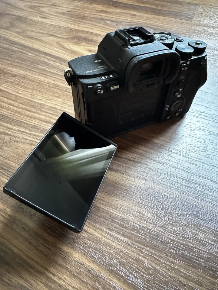 Sony Alpha 7S III, foto 3 di 5