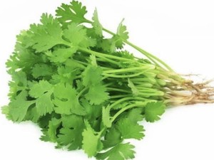 Japanese Parsley Mitsuba 1gram Quality Seeds Great Taste Fast Uk Dispatch Ebay Japanese Parsley Mitsuba 1gram Quality Seeds Great Taste Fast Uk Dispatch Ebay