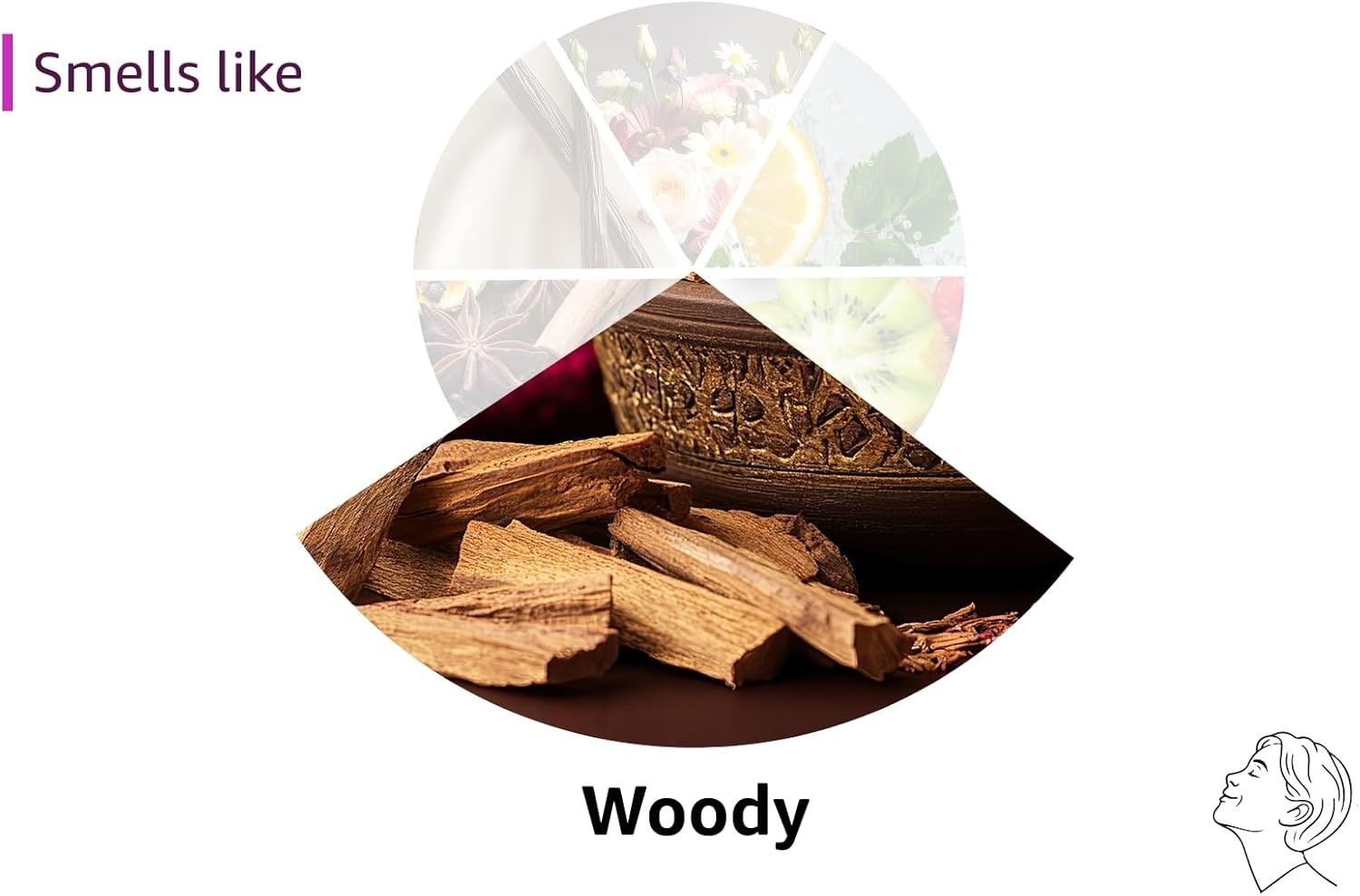 Paine Products Red Cedar Incense Cones 32pc