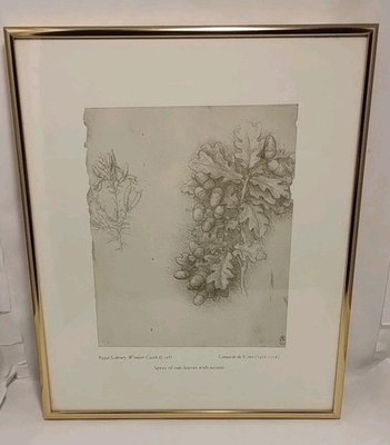 #ad Leonardo Da Vinci Spray of Oak Leaves amp; Acorns Royal Library Vintage Print 1986 GBP 50.00