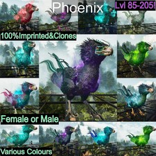 Ark Survival Ascended Pve Phoenix High LVL Im...