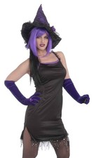 Witch Dress Wild N' Witchy Wicked Black Fancy Dress Up Halloween Adult Costume