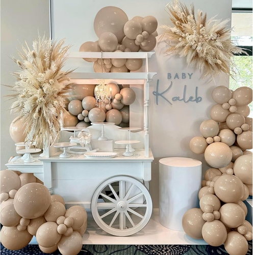 Tan Balloons Double Stuffed Nude Brown Garland Apricot Different Sizes Neutral B