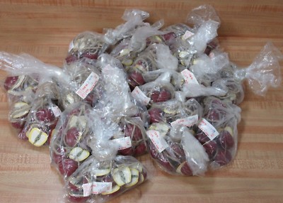 Lot of 240 Wood Apple Halves on Jute String for Country Crafts or Kitchen Decor