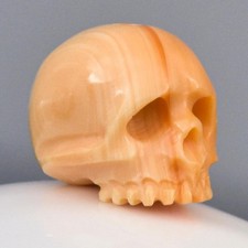 Perle Tête De Mort 11.75mm Abricot Coquillage Carvé Fait Main 2.29g
