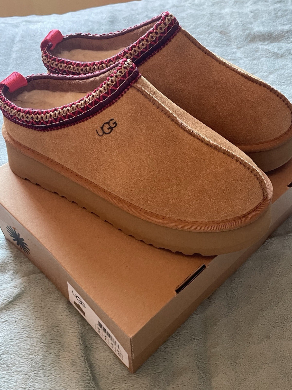 ugg tazz