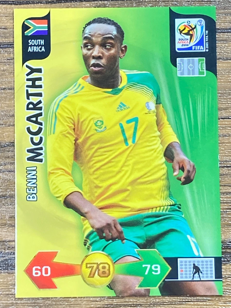 2010 FIFA WORLD CUP PANINI カード　セット 2010 Panini FIFA South Africa World Cup Soccer Cards Team Set