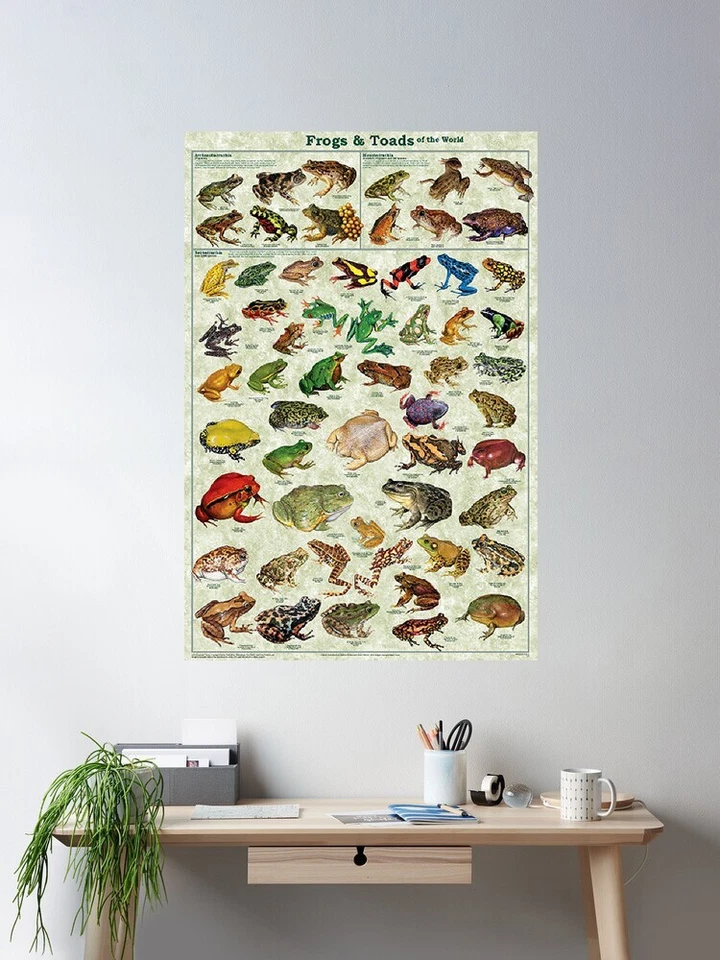 Poster Frogs and Toads of the World Educational Classroom Chart - Image 2 of 2
