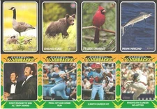 2024 Topps Heritage INSERTS (Now&Then,New Age,Flashbacks,Sensation,Zoo) You Pick