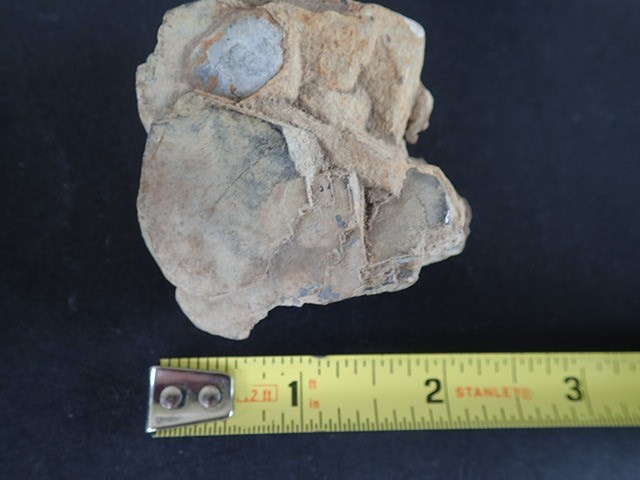 BEAUTIFUL GALENA DISPLAY SPECIMEN