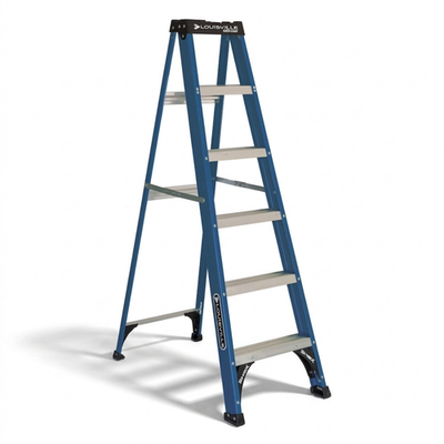 #ad #ad Ladder 6 #x27; Fiberglass Step 10#x27; Reach 225 lb Load Capacity W 3217 06 $70.00