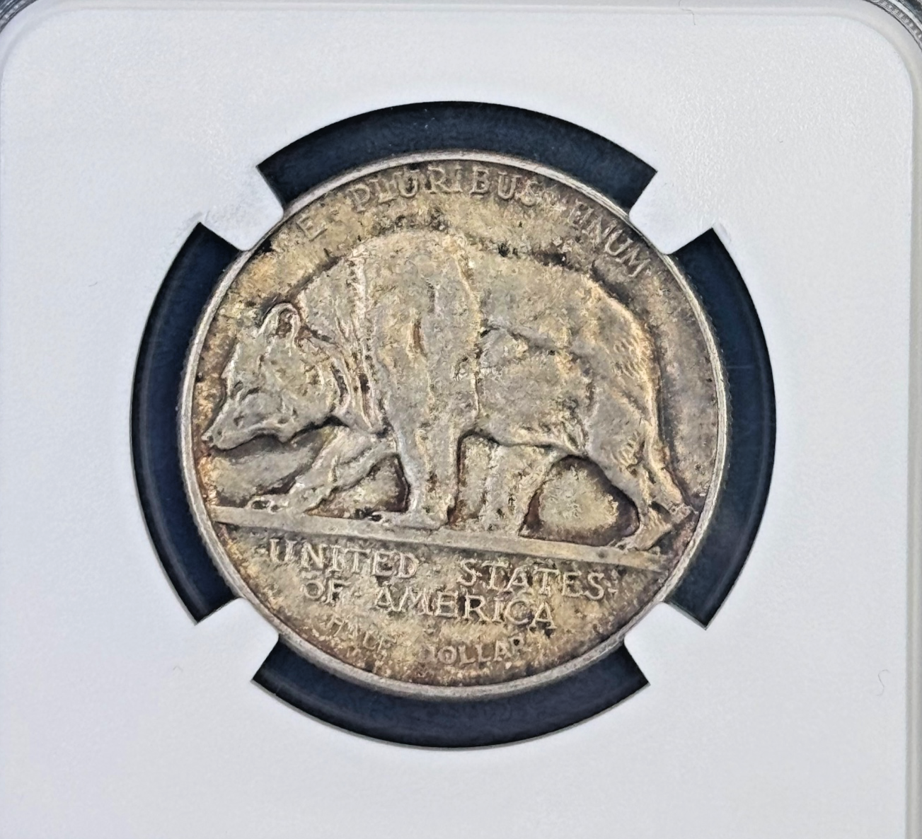 Picture 4 of 5