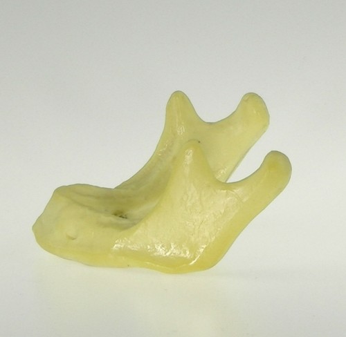 Modelo de mandíbula dental de 10 piezas para práctica básica de inserción de implantes de perforación - Imagen 3 de 4