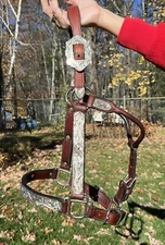 Yearling Show Halter