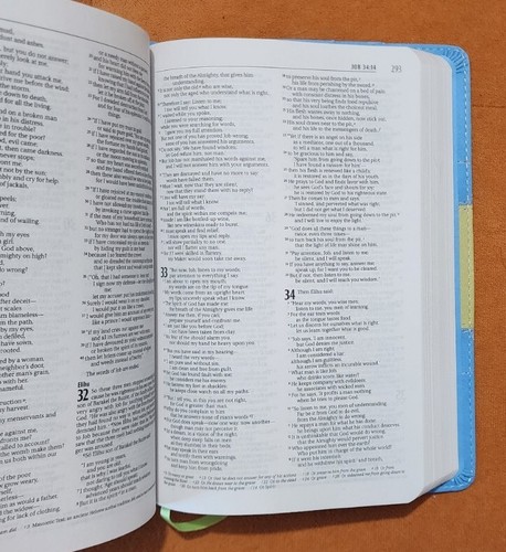 HEILIGE BIBEL NIV italienisches Duo Ton blau & Chartreuse roter Buchstabe Zondervan 2001 - Bild 10 von 11