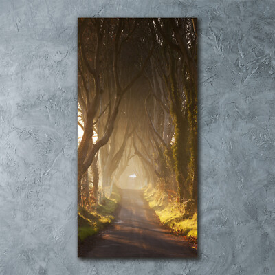 Wandbild Druck auf Plexiglas  Acryl Hochformat 60x120 Pfad im Wald