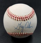 Greg Olson Braves Signed Rawlings ONLB Baseball Blue Pen Autograph Sweet Spot