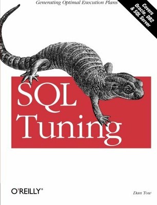 SQL Tuning by Dan Tow Paperback Book The Fast Free Shipping