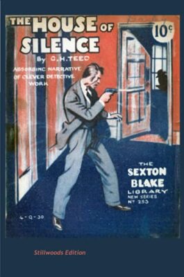 The House of Silence by G H Teed (Paperback, 2021)