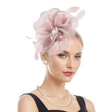 Zando Fascinators Hats for Women Tea Party Hat Ribbons Feathers Ken-Tucky Der...