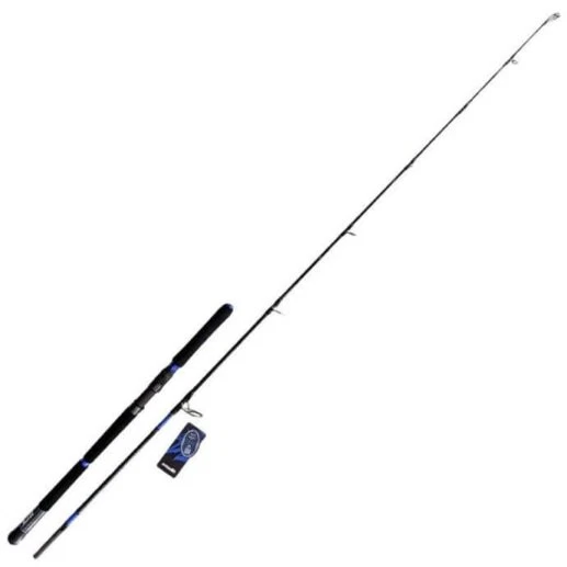 Canna Da Pesca Atlantic Trolling 15/30Lbs Per Traina Tonno E Pesce Spada - Modello EH - Foto 5