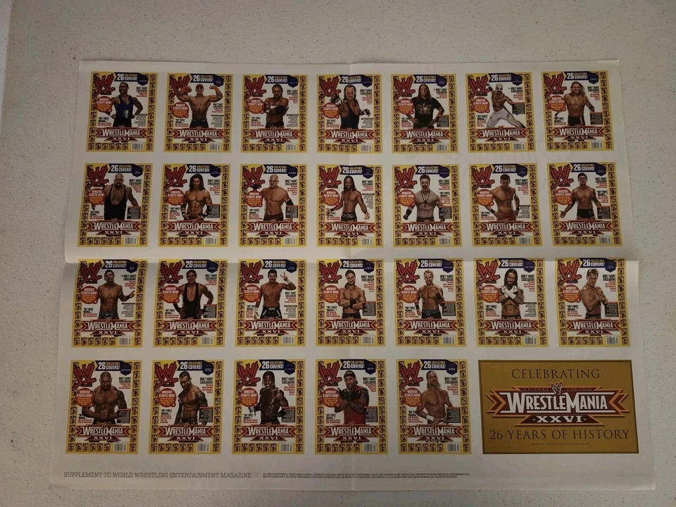 Póster WWE Mickie James 16"x21" - Divas - Hardcore Country - 2010 - TNA 2 caras Foto 2 de 3