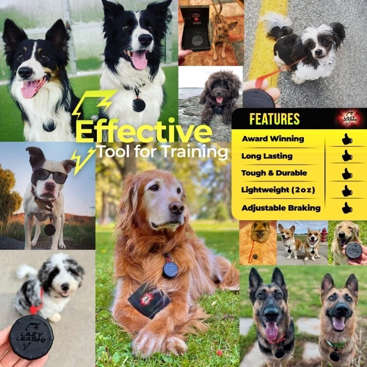 Cute Color Bubbles Mini Dog Leash +Freebie (2) Adjustable Clip-On Miniature Lead - Image 4 of 4