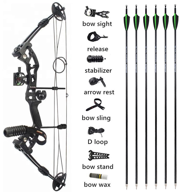 30-60lbs Compound Bow Arrows Kit Archery Fishing Hunting Adult Target  Shooting