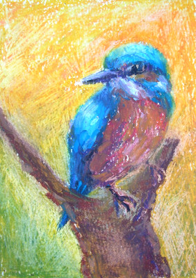 Eisvogel gerahmt Original Öl Pastell Zeichnung Vogel Wandkunst Papier 4x6 cm