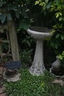 Bild 4 von 9