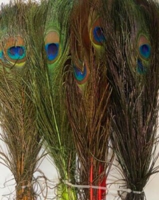 Peacock Eye Top 2 pro Packung verschiedene Farben Fliegenbinden, Basteln Gordon Griffiths