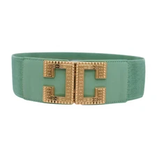 Women Jade Teal Elastic Wide Fashion Belt Hip Waist Gold Metal C Buckle Size S M