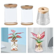 Transparent Flower Vase Flower Pot Potted for Home Bedroom Table Centerpiece