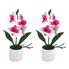 Image of 6 Phalaenopsis Orchid Potted Plants with Realistic Appearance for Decor
