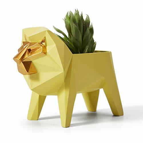 Amoy-Art Piantatrice di Cactus Succulenta Statuetta Figurina Leone (O9C)