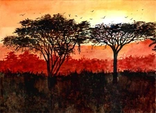 Flatland Trees At Sunset, Beautiful Trees, Flatlands, Tree Silouettes