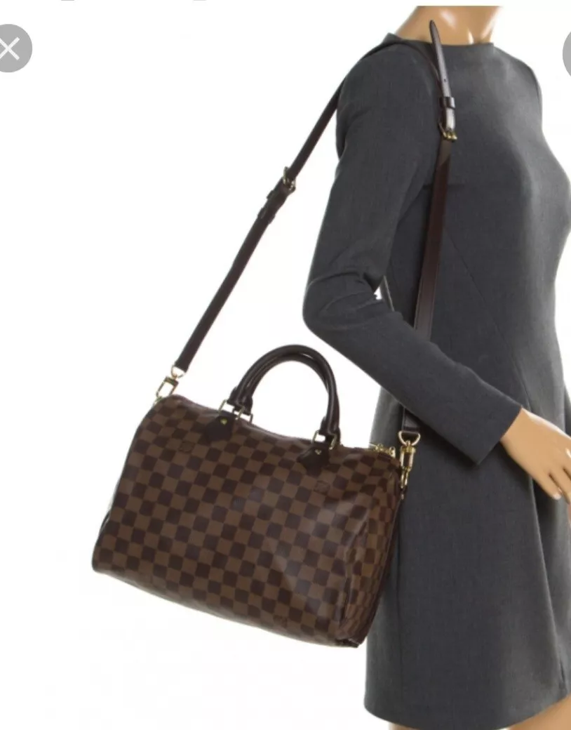 Louis Vuitton Damier Ebene Speedy 30 Handbag