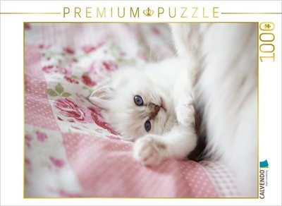 CALVENDO Puzzle Heilige Birma Kitten, chocolate tabby point | 1000 Teile Lege-Gr